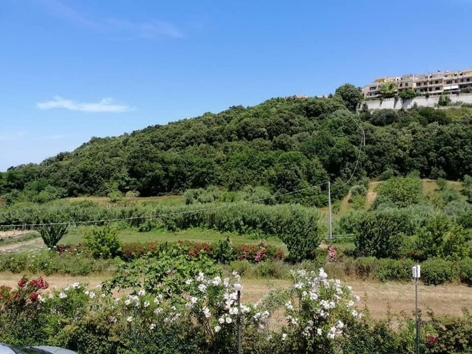 Zio Tonino Bed and Breakfast Termoli Buitenkant foto